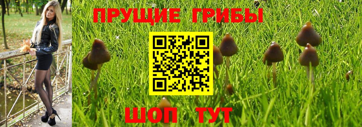 Псилоцибиновые грибы Magic Shrooms Воронеж